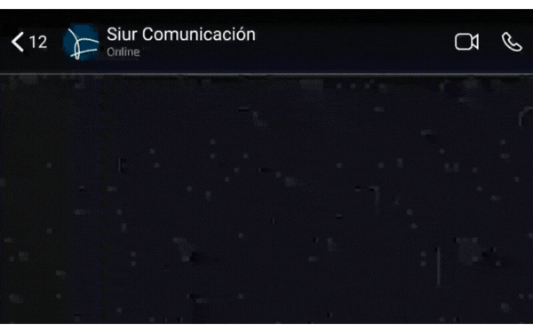 GIF animado